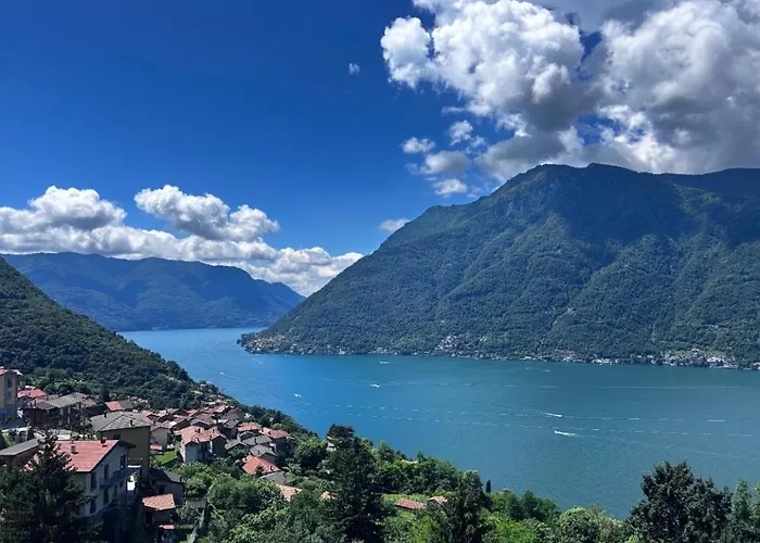 Ti Amo Nesso